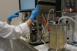 Economia Circular - recortada